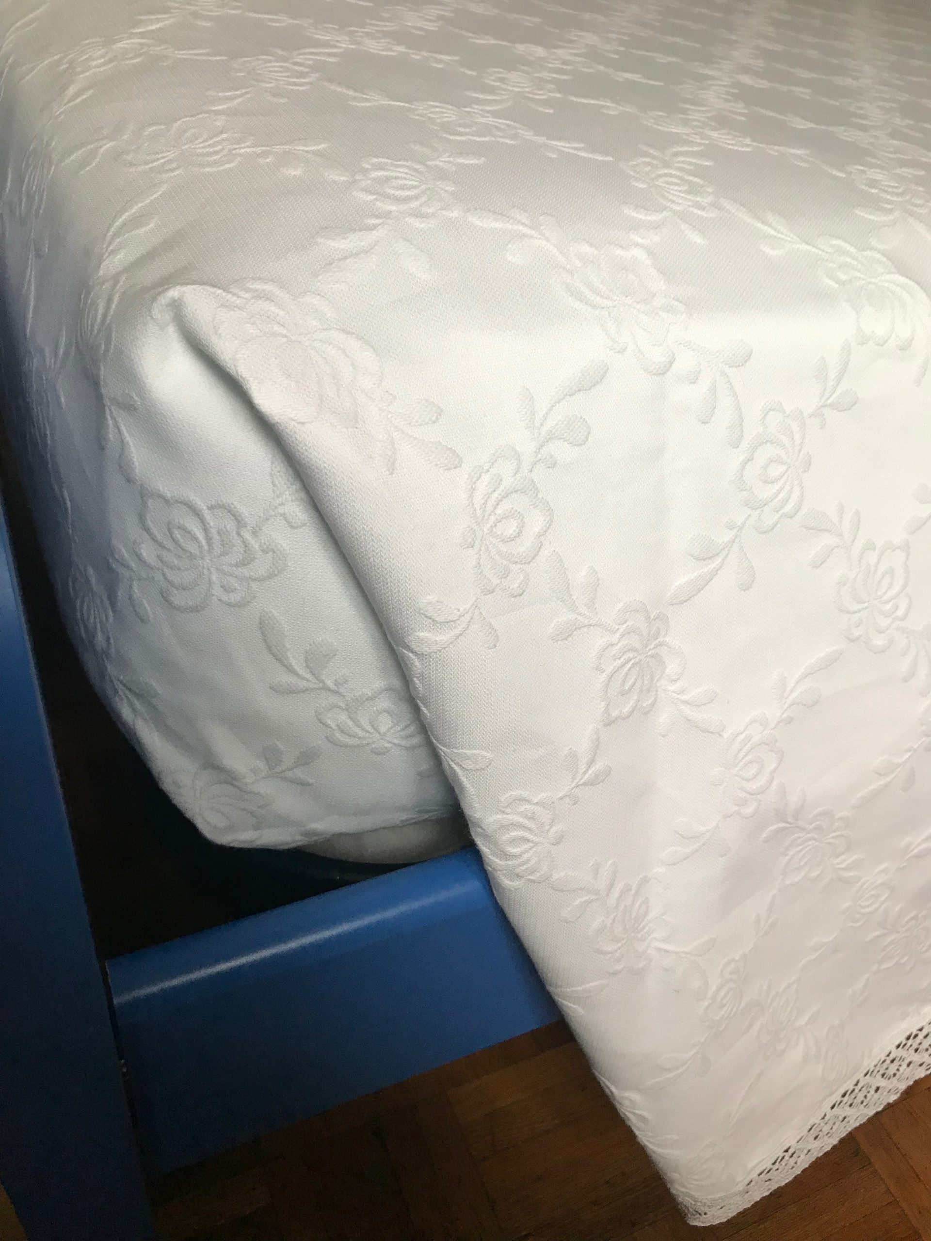 Isabella coperta –