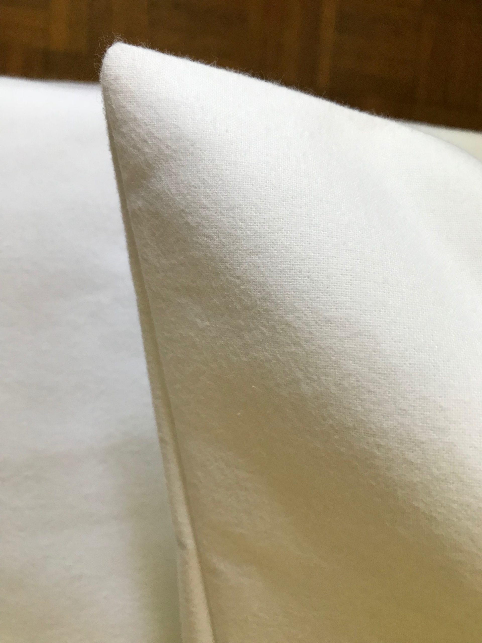 Salus Salvacuscino –