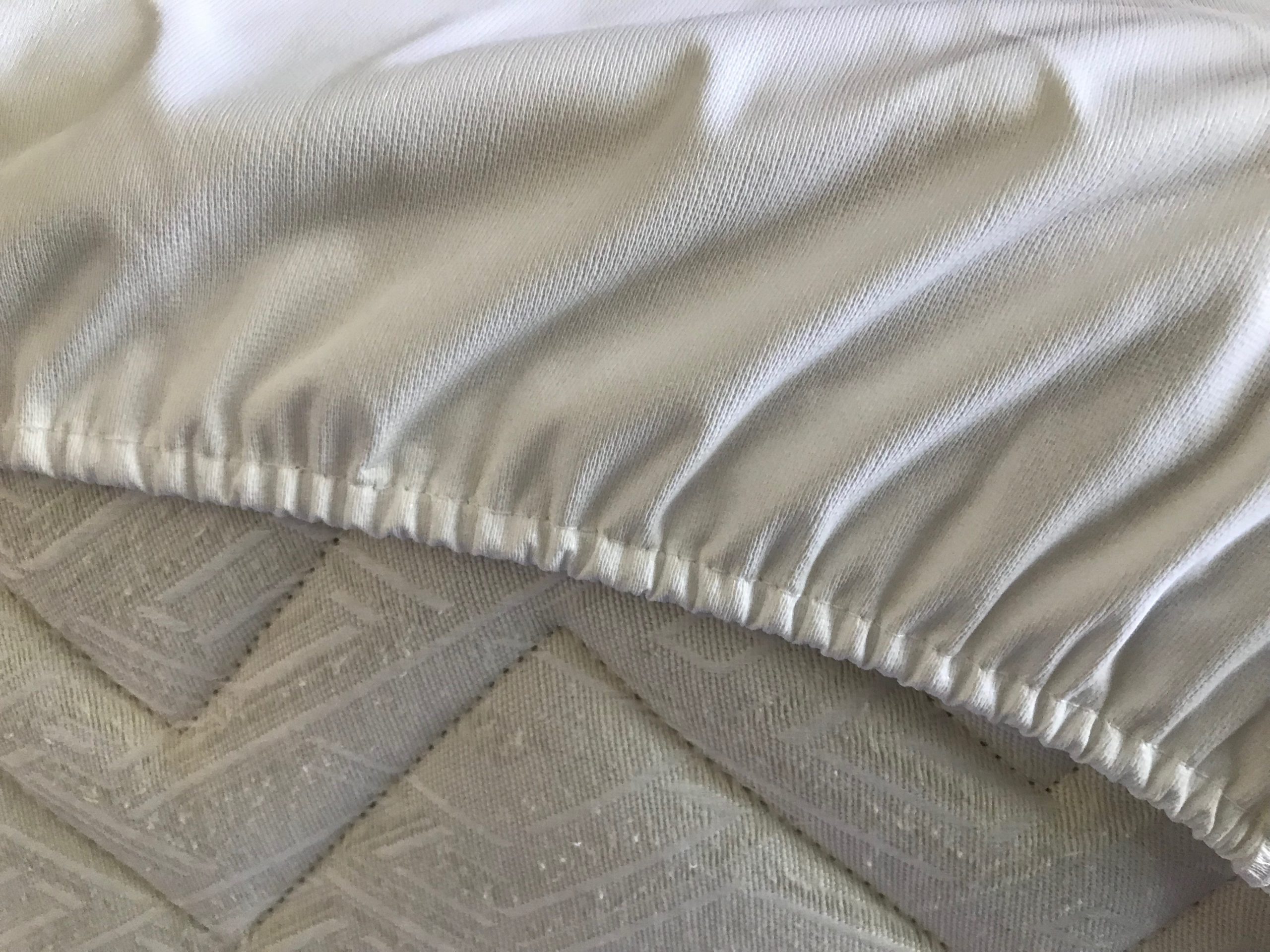 Saniplastic elastico –