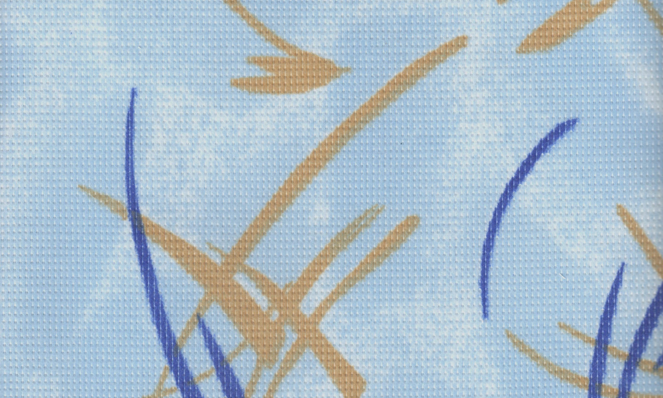 Bettytex variante azzurra