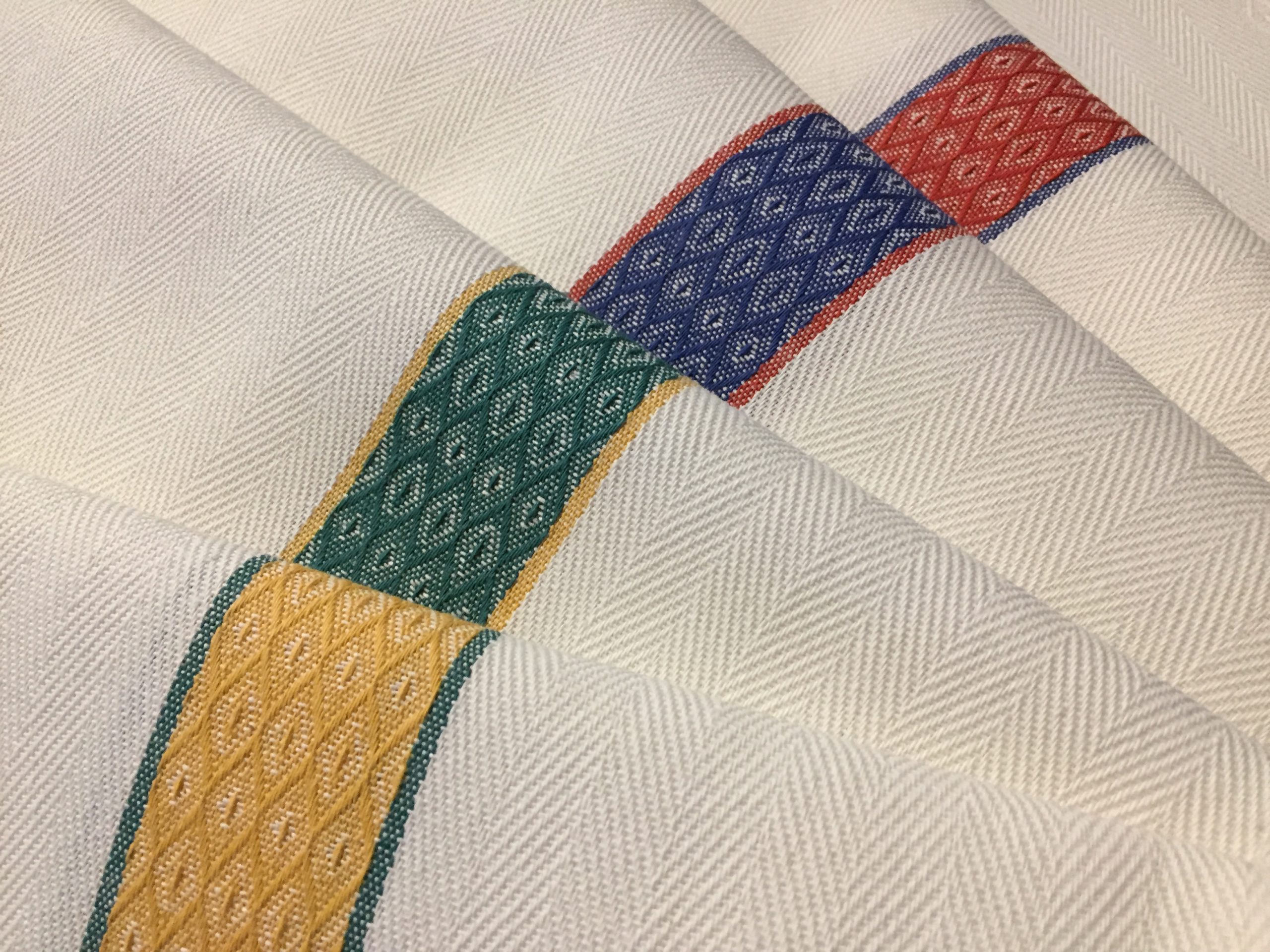 Sesia banda colorata